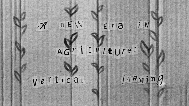 A NEW ERA IN AGRICULTURE: VERTICAL FARMING - prev