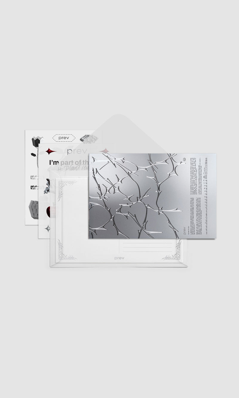 BOUNDARIES POSTCARD