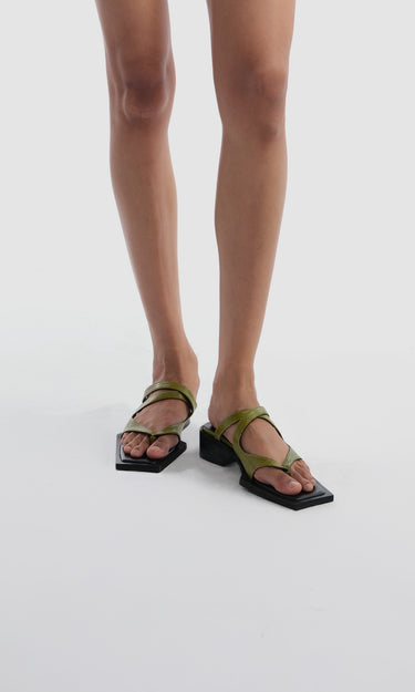 prev - KAREL MULE - ROSEMARY