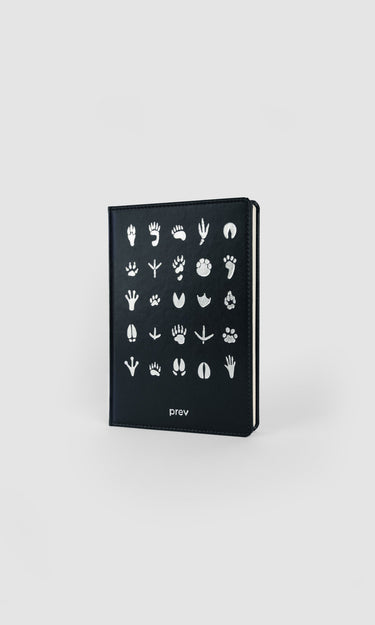 prev - NOTEBOOK - COEXIST