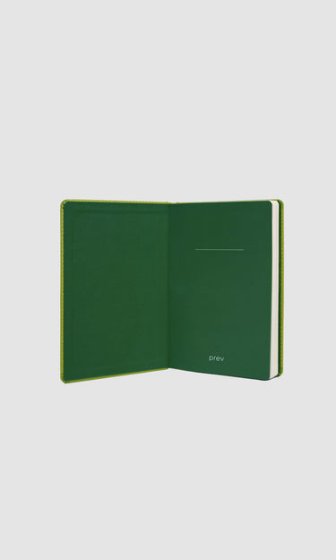 prev - NOTEBOOK - COUNTING LIVES