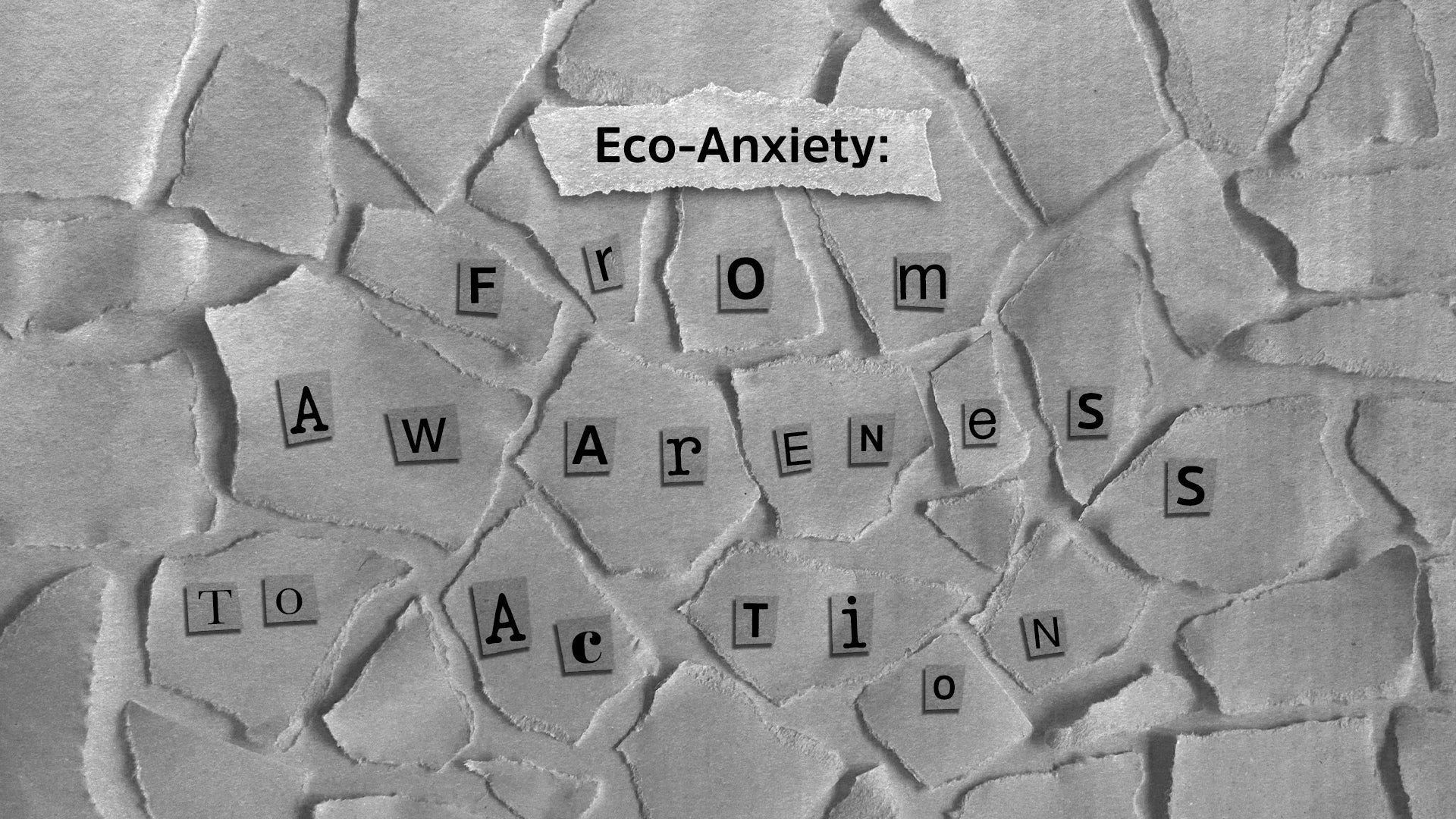 ECO-ANXIETY: FROM AWARENESS TO ACTION - prev