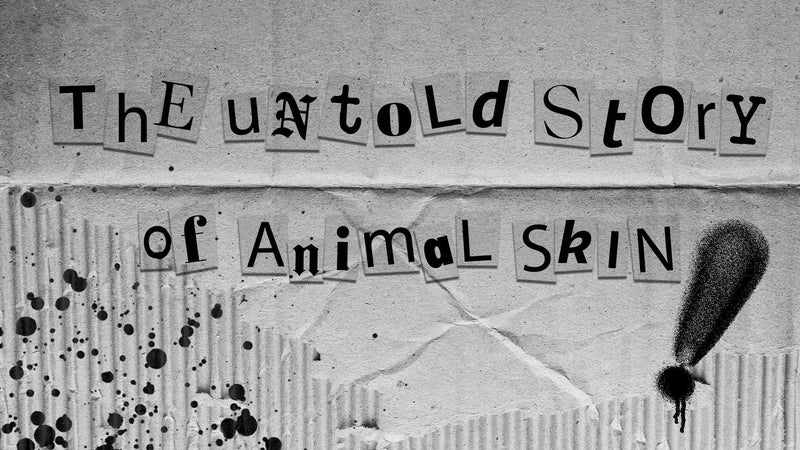 THE UNTOLD STORY of ANIMAL SKIN - prev