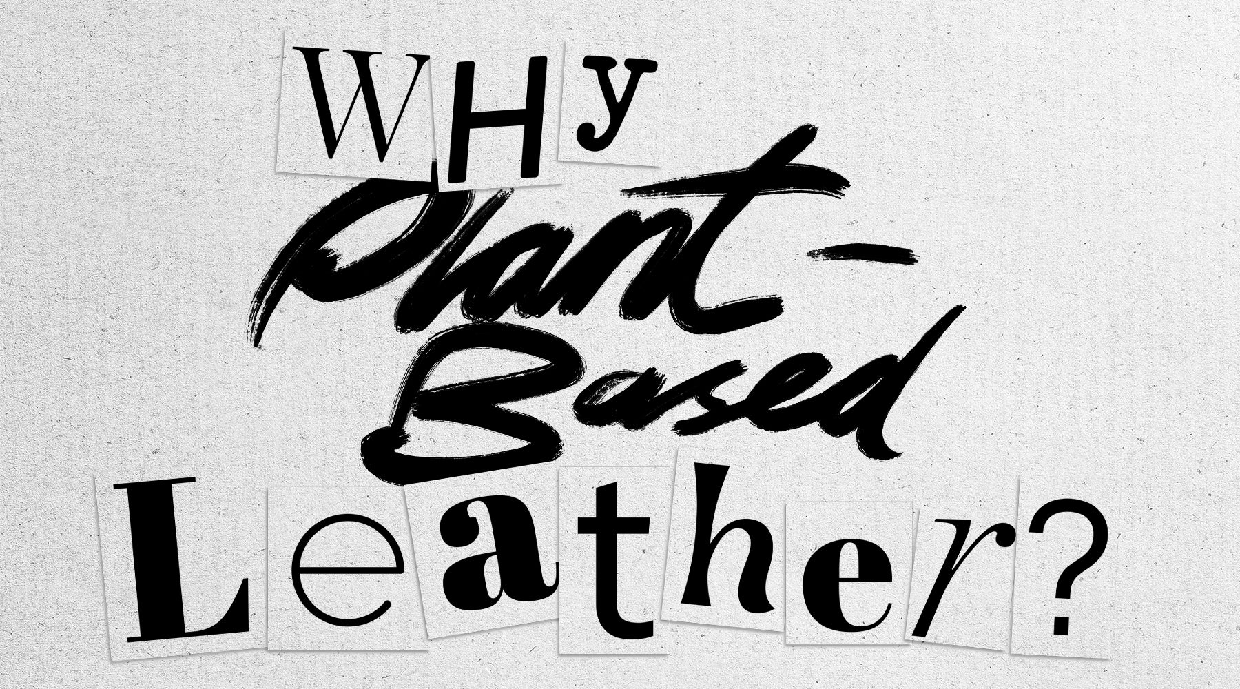 WHY PLANT-BASED LEATHER? - prev