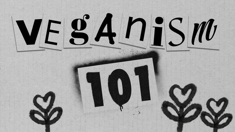 VEGANISM 101 - prev
