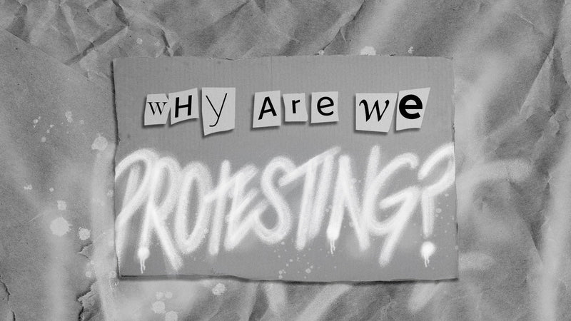 WHY ARE WE PROTESTING? - prev