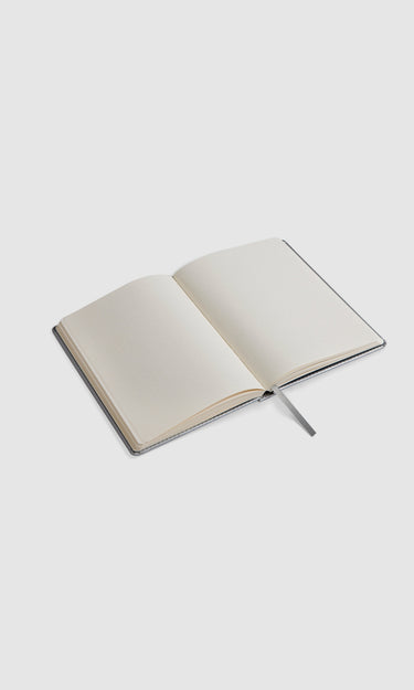 prev - BULLET JOURNAL - RAY